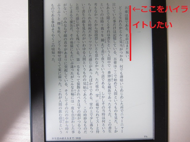 kindle2