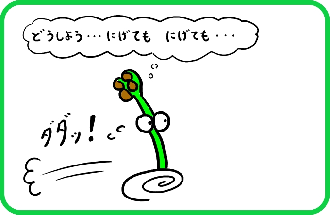 追いかけてくるらっきょう1