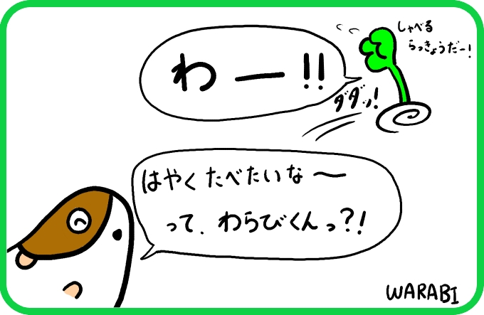 しゃべるらっきょう4