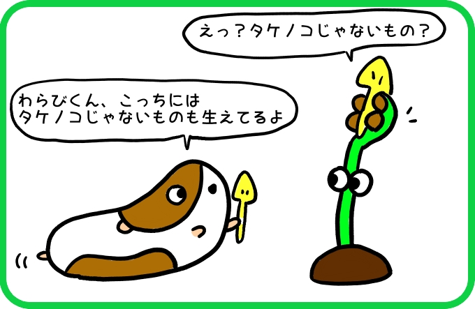 タケノコじゃないもの2