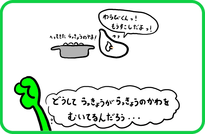 大きならっきょう1
