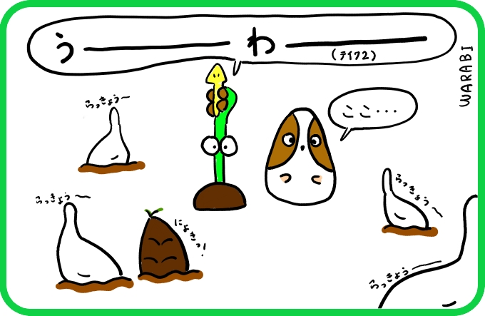 タケノコじゃないもの4