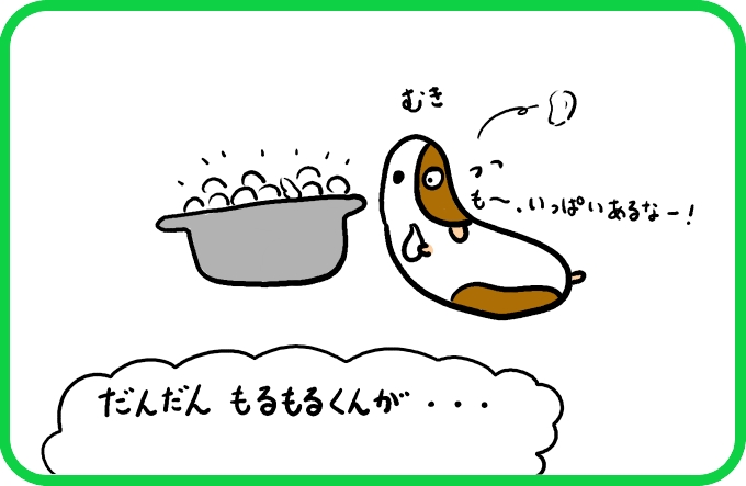 らっきょうの幻3