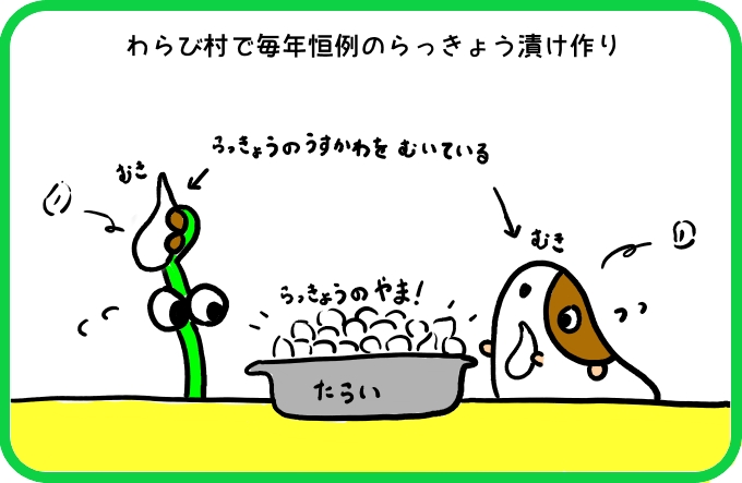 らっきょう漬け作りにて1
