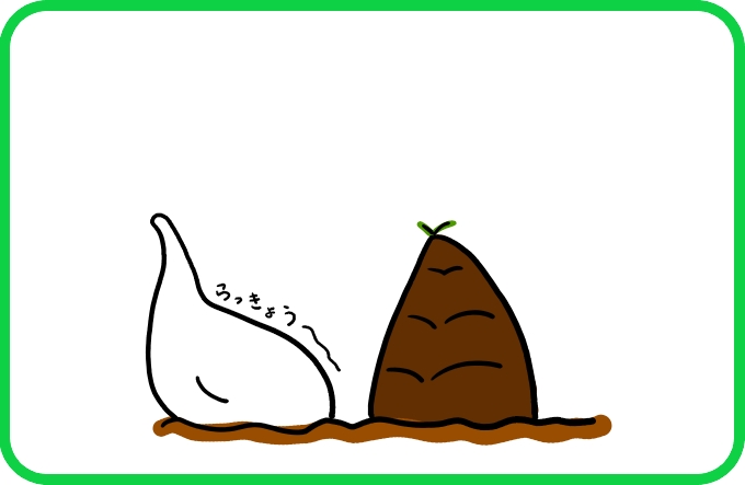 さらにタケノコじゃないもの2