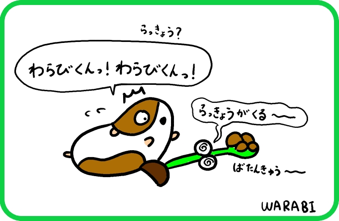 追いかけてくるらっきょう4