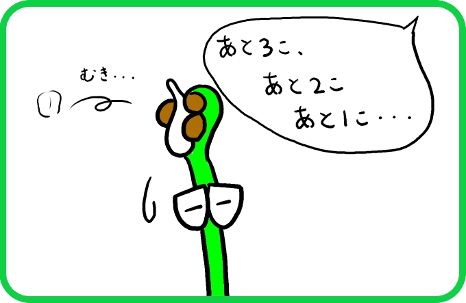 大きならっきょう3