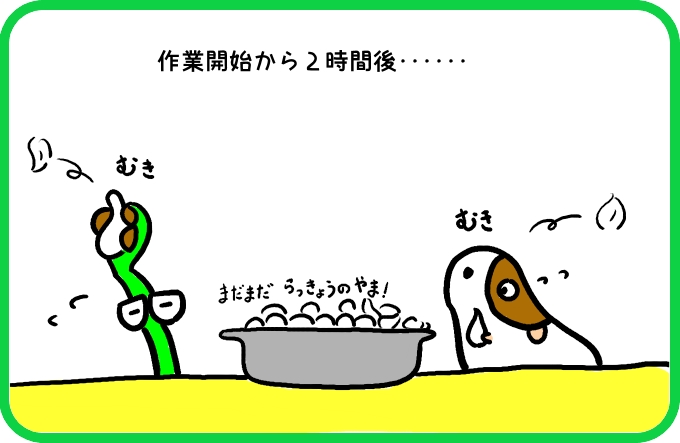 らっきょうの幻1