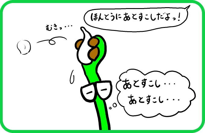 大きならっきょう2