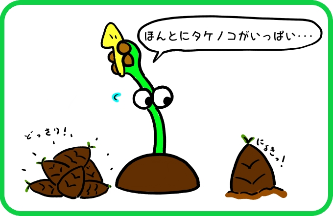 タケノコじゃないもの1