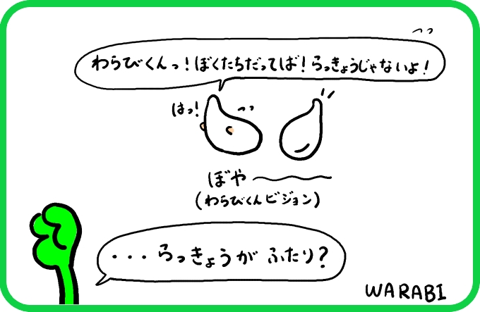 らっきょう？4