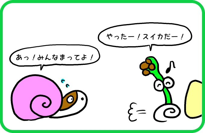 殻の欠点2