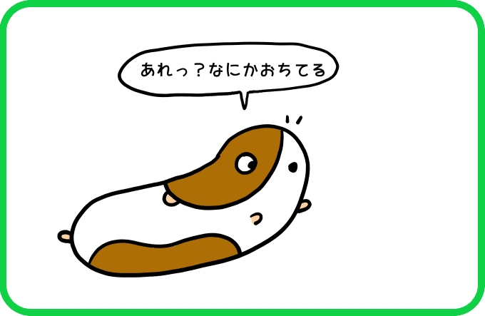 なにか見つけた1