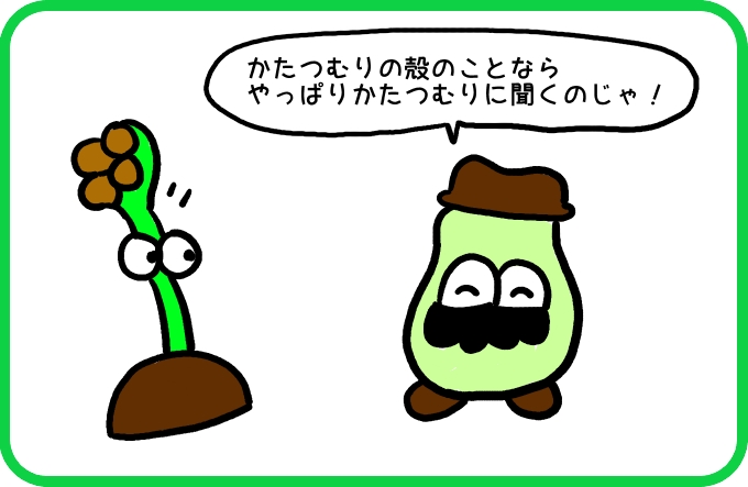 かたつむりの殻のことは1