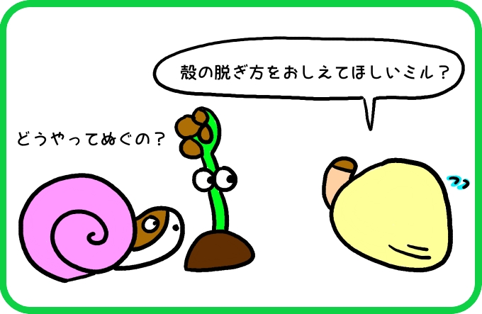 殻のことなら3