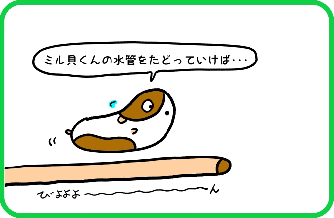 水管をたどって1