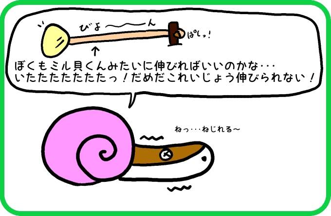 殻の欠点3