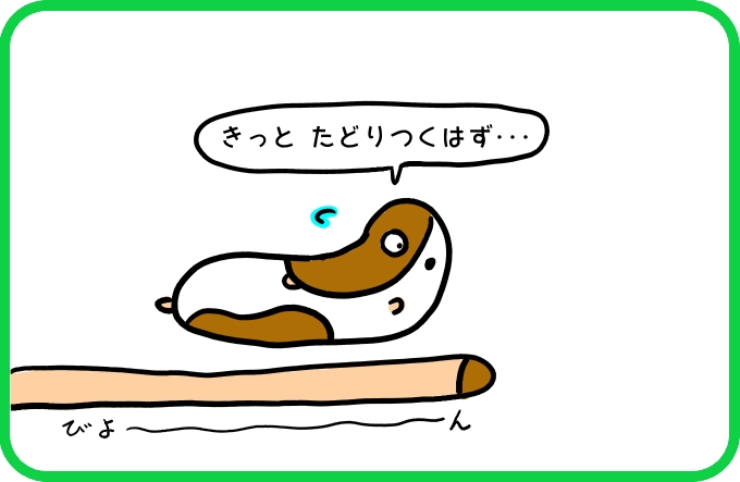 水管をたどって2