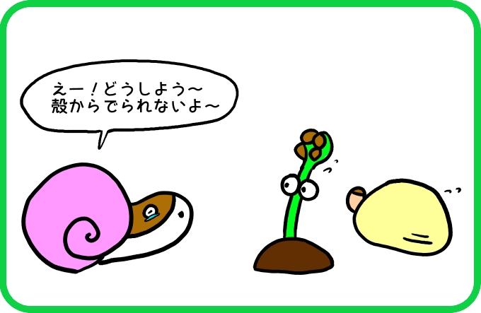 いっそのこと1