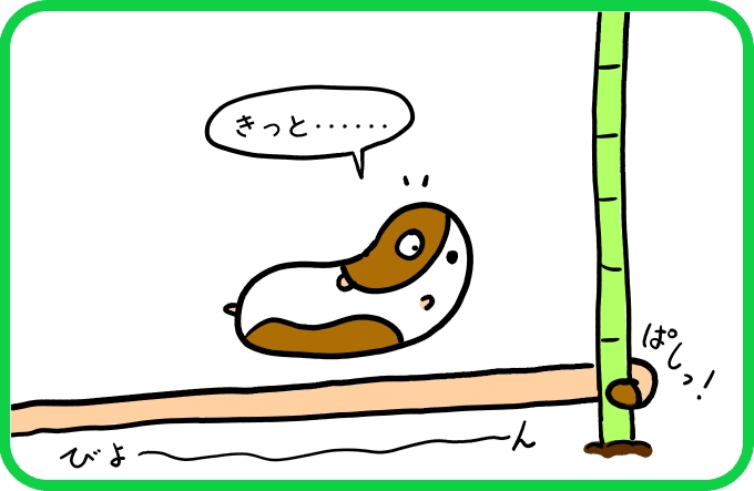 水管をたどって3
