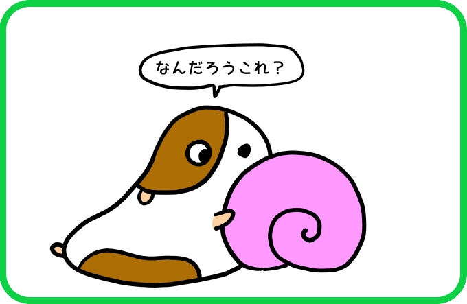 なにか見つけた2