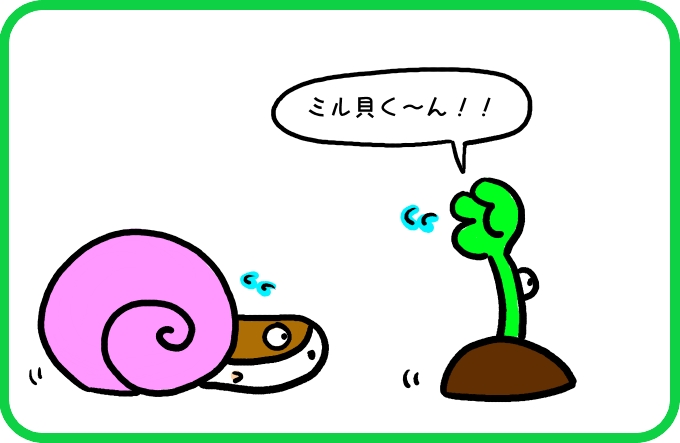 殻のことなら2
