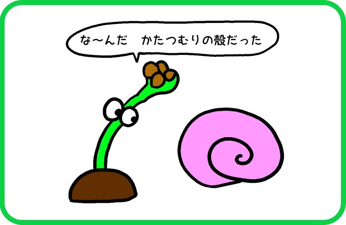 ついてくる殻2