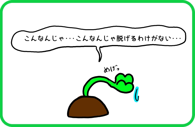 思いと迫力1