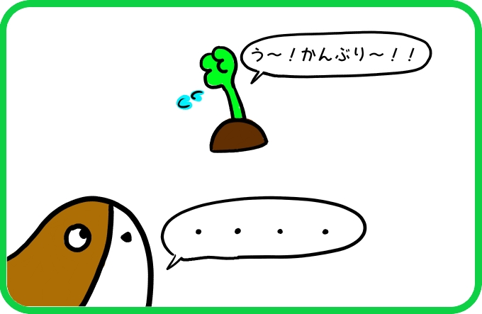 いるかもよ1