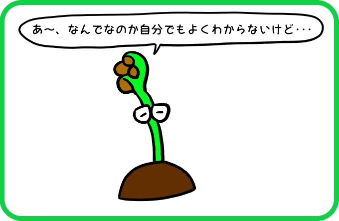 〇〇〇〇脳1