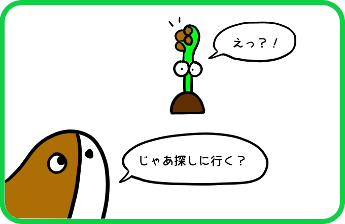 いるかもよ2