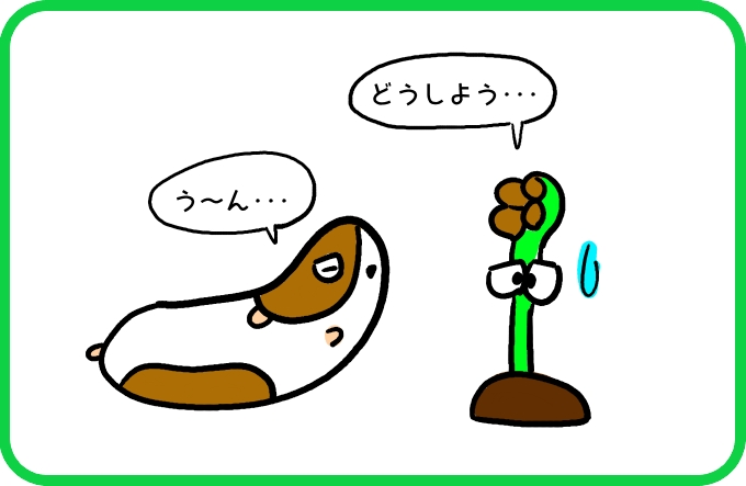 ボートのことなら3