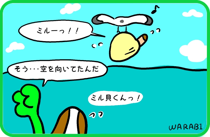 新種のカモメ？4