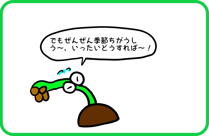 〇〇〇〇脳3