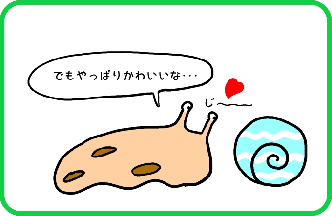 なぜか惹かれる3