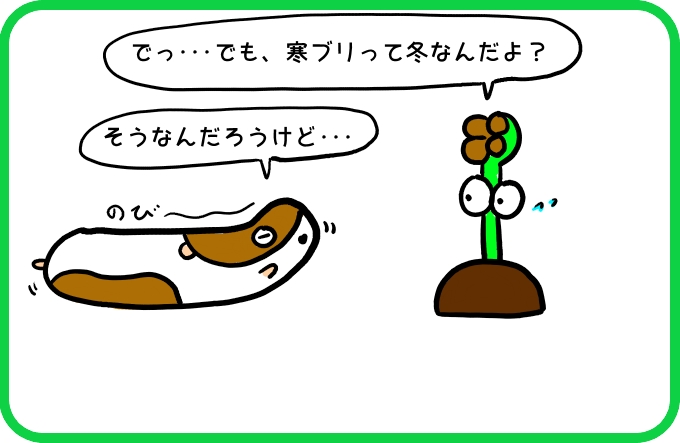 いるかもよ3