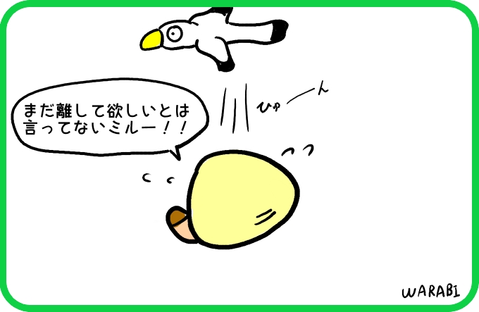 ようやく発見？4