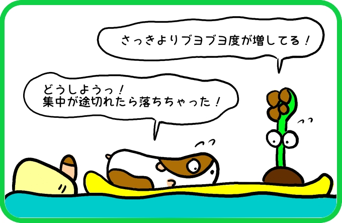 大きな魚影の正体1