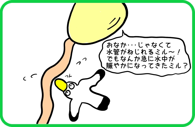 新観光スポット4