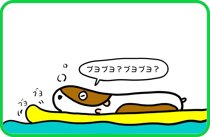プヨプヨからブヨブヨへ2