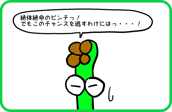 大きな魚影の正体2