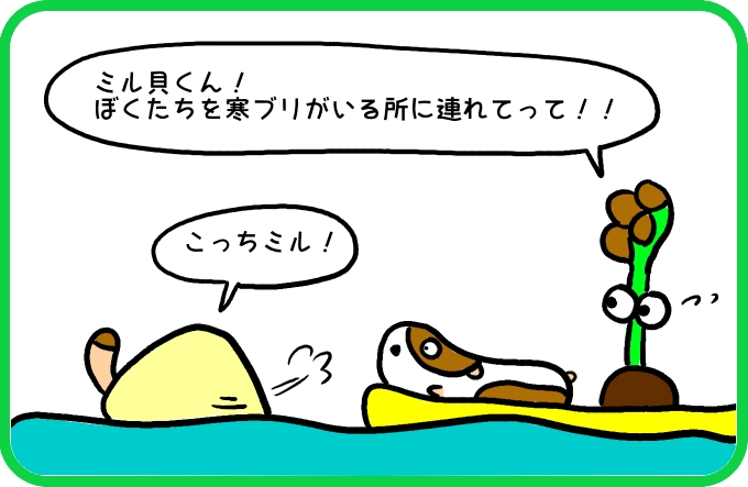 大きな魚影の正体3