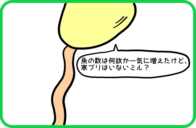 ようやく発見？2