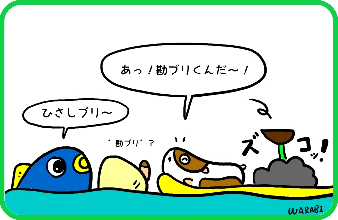 大きな魚影の正体4