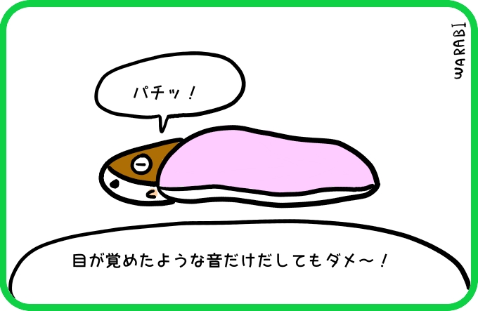 音だけ4