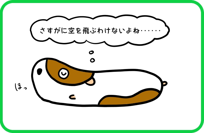 空豆のナゾ1
