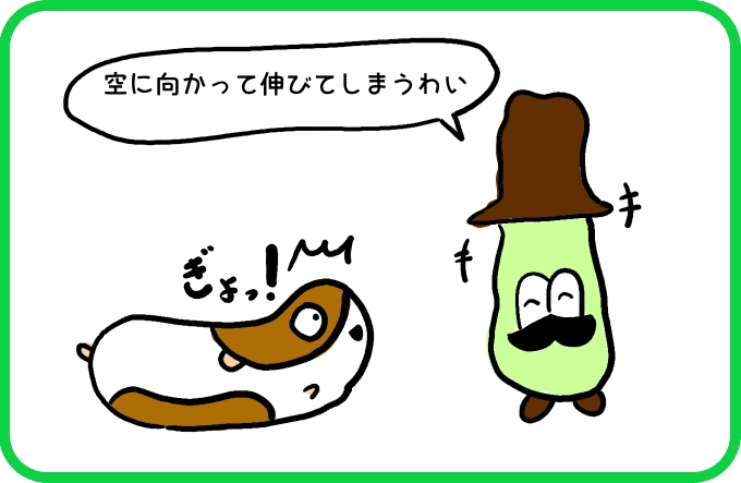 空豆悪夢3