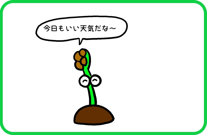 本当の音1