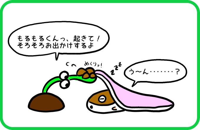 ニセ〇〇3