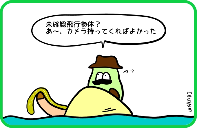 未確認飛行物体4